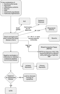 Mtcd Mixed Connective Tissue Disease - Rheumatology for Primary Care