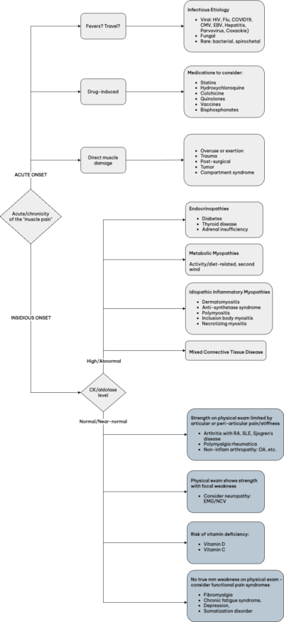 Muscle Pain and/or Weakness - Rheumatology for Primary Care